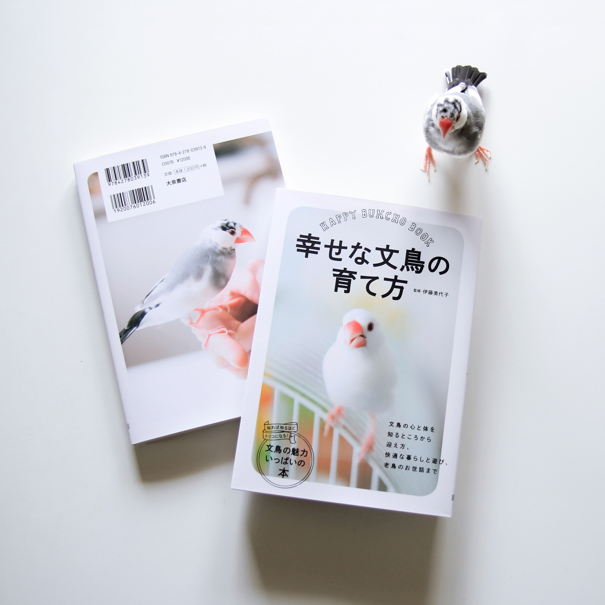 「幸せな文鳥の育て方」