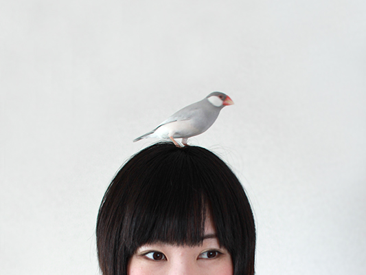 takahiroko