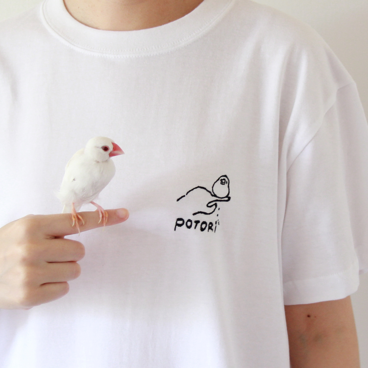 文鳥ポトリTシャツ ブラック