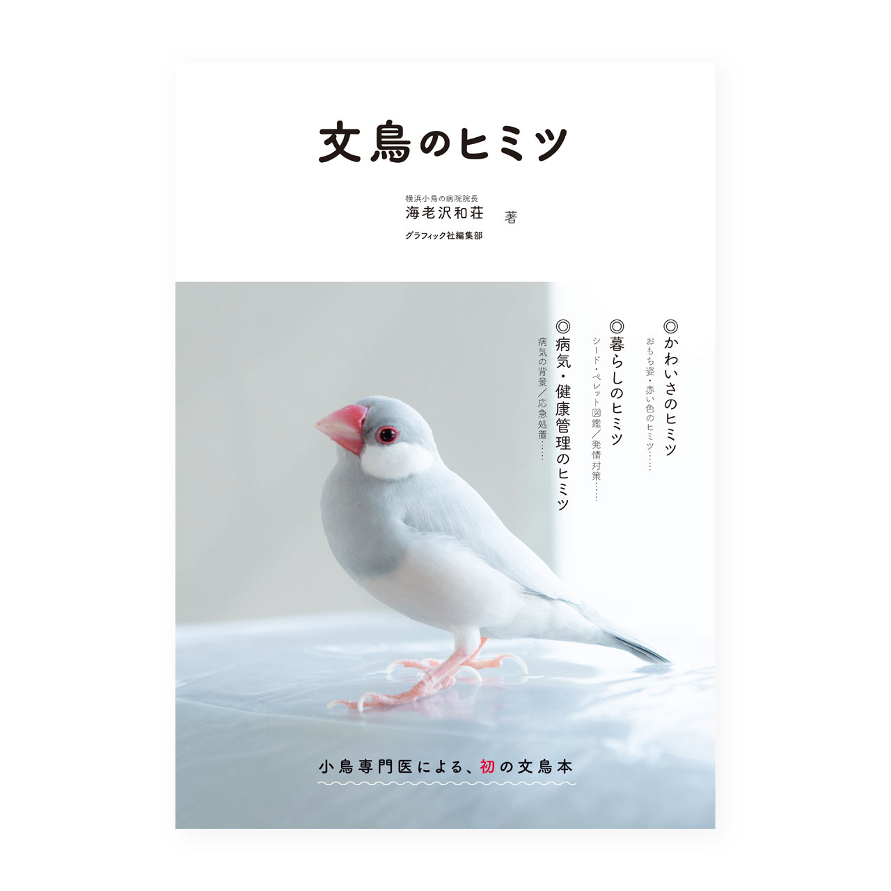 文鳥のヒミツ