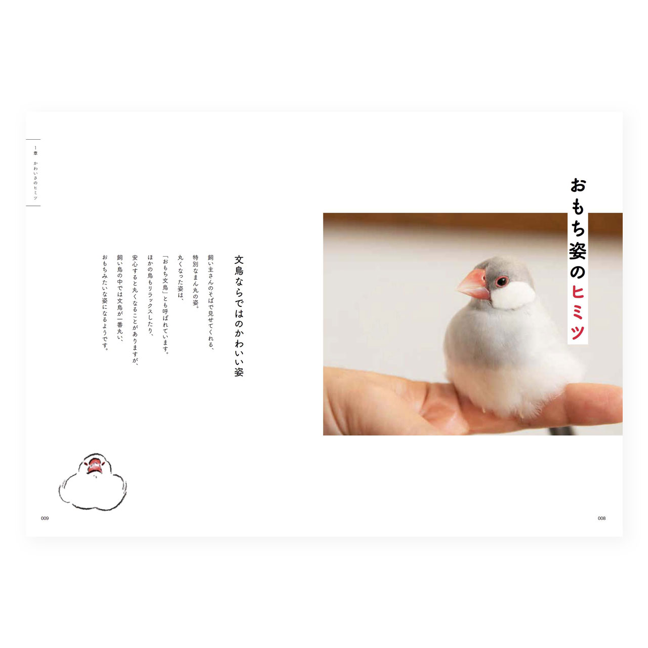 文鳥のヒミツ